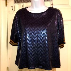 MUST GO NOW!! ✨LAST CHANCE FINAL SALE!!✨Zara Navy Blue Sequin Top